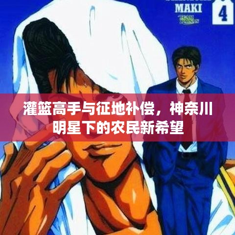 灌篮高手与征地补偿,神奈川明星下的农民新希望