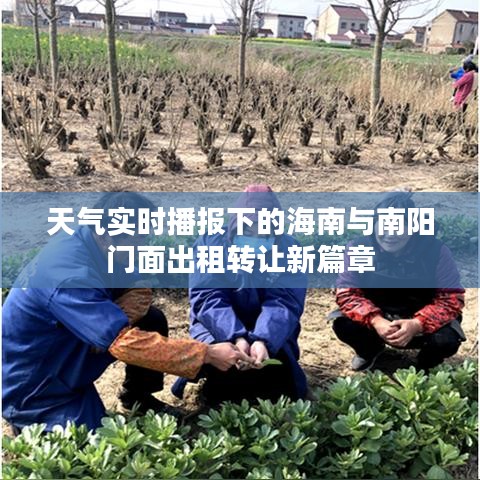 天气实时播报下的海南与南阳门面出租转让新篇章