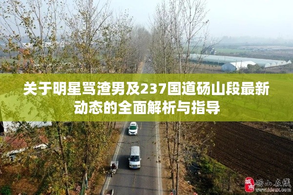 关于明星骂渣男及237国道砀山段最新动态的全面解析与指导