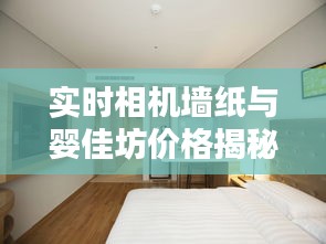 实时相机墙纸与婴佳坊价格揭秘