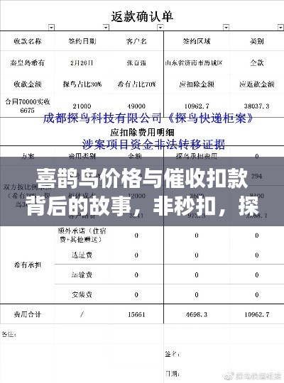 喜鹊鸟价格与催收扣款背后的故事，非秒扣，探寻真相