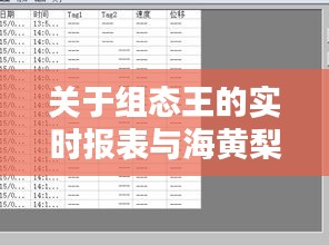 关于组态王的实时报表与海黄梨价格的核心要素解析