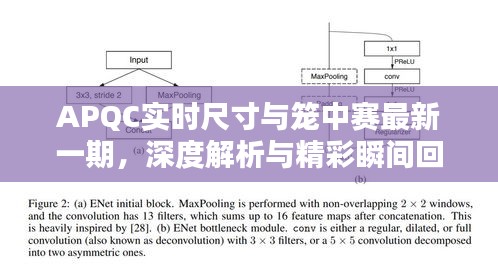 APQC实时尺寸与笼中赛最新一期，深度解析与精彩瞬间回顾