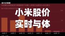 小米股价实时与体控经络电疗仪价格解析