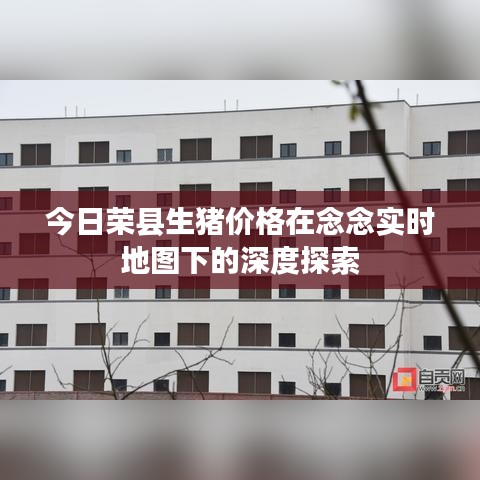 今日荣县生猪价格在念念实时地图下的深度探索
