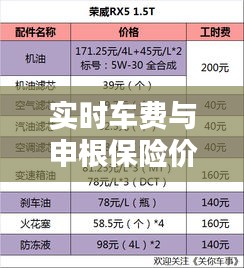 实时车费与申根保险价格详解