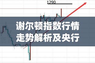 谢尔顿指数行情走势解析及央行加息新闻解读