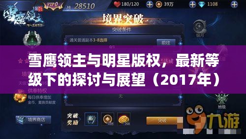 雪鹰领主与明星版权，最新等级下的探讨与展望（2017年）