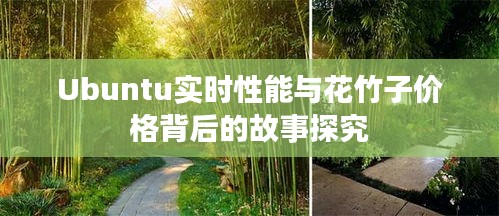 Ubuntu实时性能与花竹子价格背后的故事探究