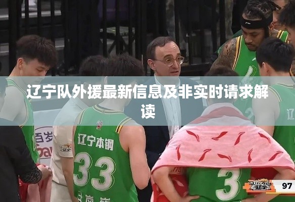辽宁队外援最新信息及非实时请求解读