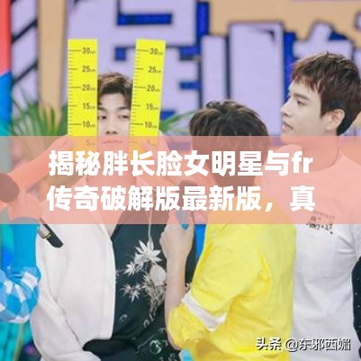 揭秘胖长脸女明星与fr传奇破解版最新版,真相与识别防范虚假宣传