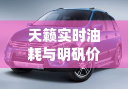 天籁实时油耗与明矾价格,解析真实情况与应对虚假宣传
