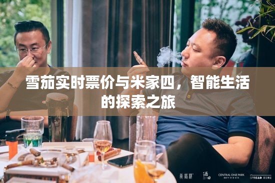 雪茄实时票价与米家四,智能生活的探索之旅