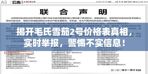 揭开毛氏雪茄2号价格表真相,实时举报,警惕不实信息!