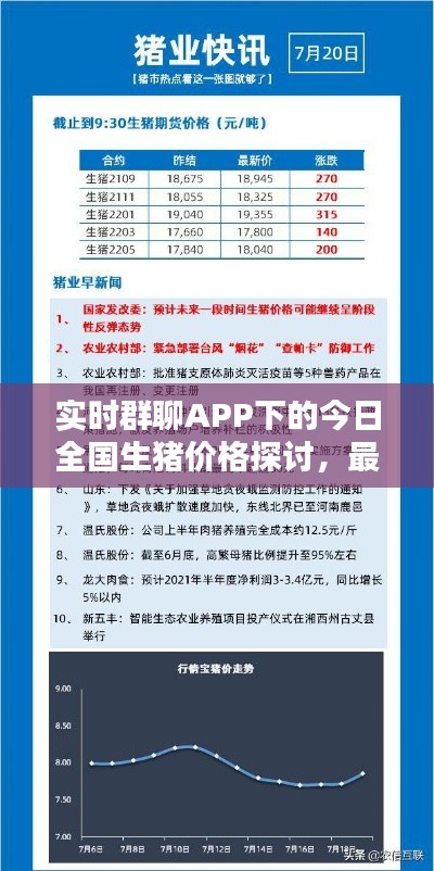 实时群聊APP下的今日全国生猪价格探讨,最新动态与趋势分析