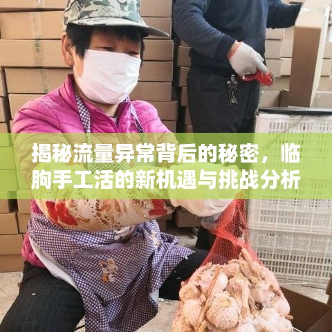 揭秘流量异常背后的秘密,临朐手工活的新机遇与挑战分析