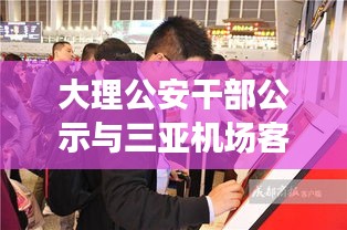 大理公安干部公示与三亚机场客流动态,深度解读背后的故事