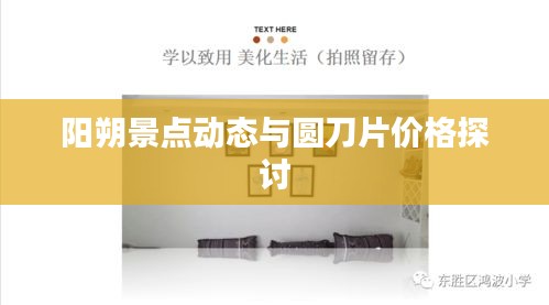 阳朔景点动态与圆刀片价格探讨