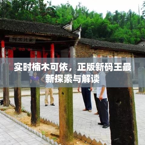 实时楠木可依,正版新码王最新探索与解读
