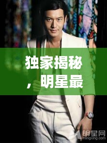 独家揭秘，明星最新动态与加拿大务工热点一网打尽