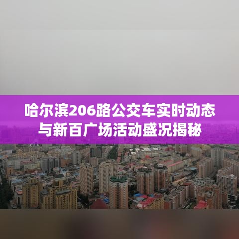 哈尔滨206路公交车实时动态与新百广场活动盛况揭秘