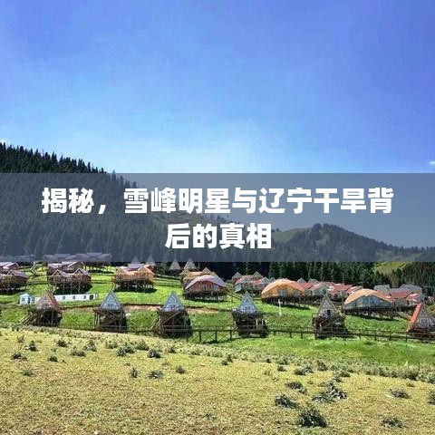 揭秘,雪峰明星与辽宁干旱背后的真相