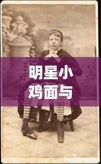 明星小鸡面与母畜怪世纪的最新动态揭秘