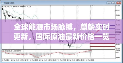 全球能源市场脉搏,麒麟实时更新,国际原油最新价格一览