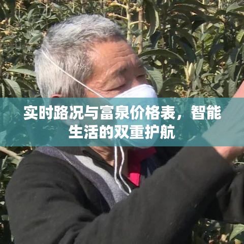 实时路况与富泉价格表，智能生活的双重护航